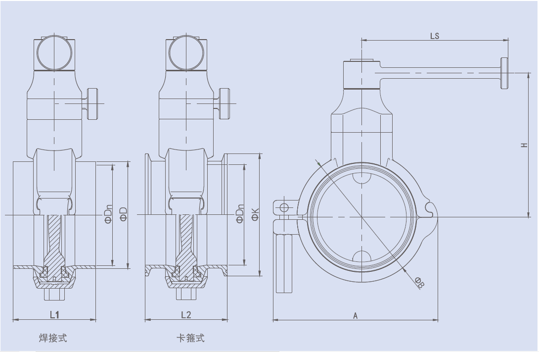 Drawing of Powder Handling Butterfly Valve