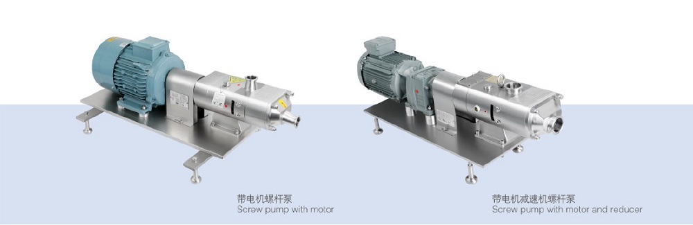 Configuration of Dual Head Twin Screw Pump