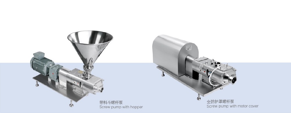 Configuration of Dual Head Twin Screw Pump