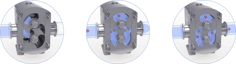 Details of MINI STU-10 Lobe Pump Details of MINI STU-10 Lobe Pump