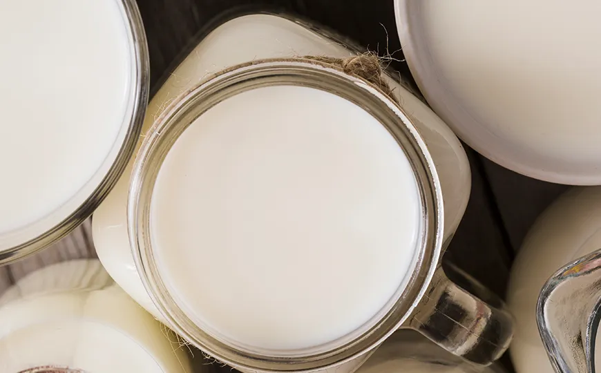 Dairy & Food Processing