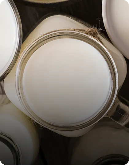 Dairy & Food Processing