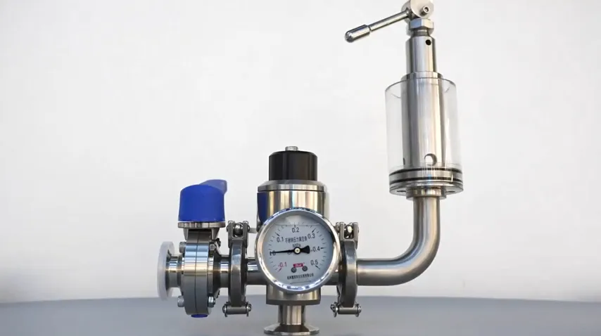 Multifunctional Tank Top Vacuum Exhaust Combination Valve