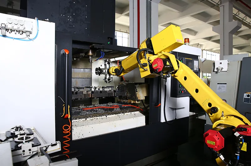 ball and check valve